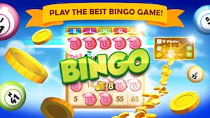 Bingo online Bingo online