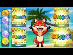 Bingo oyunlar Bingo oyunlar